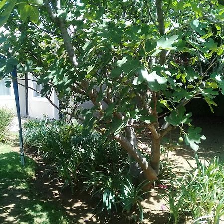 La Coscello Guest House Edenvale Luaran gambar