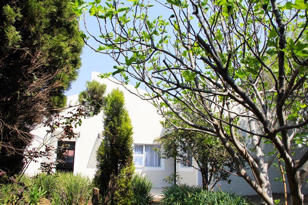 La Coscello Guest House Edenvale Luaran gambar