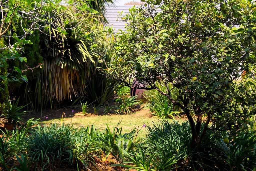 La Coscello Guest House Edenvale Luaran gambar