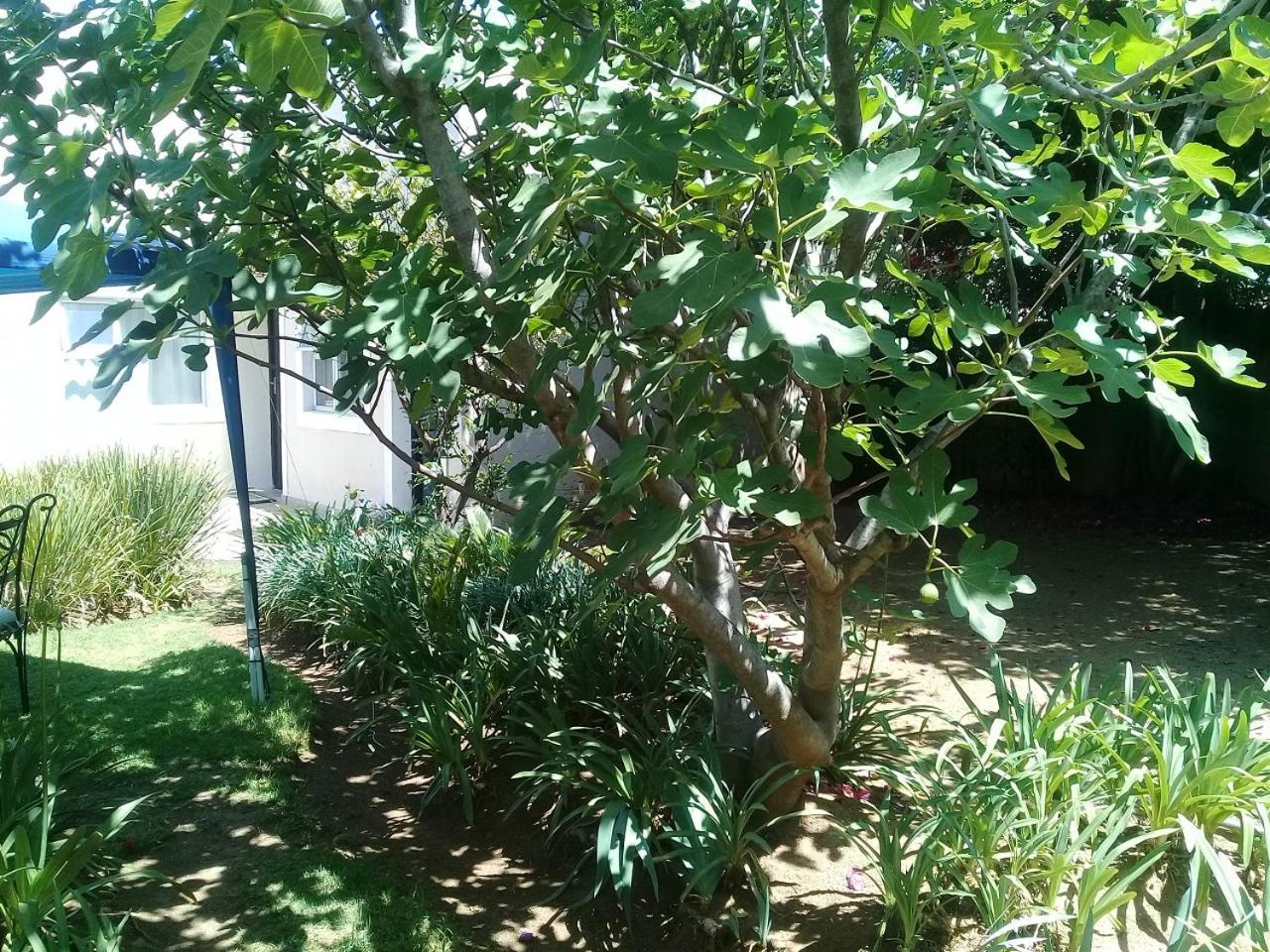 La Coscello Guest House Edenvale Luaran gambar